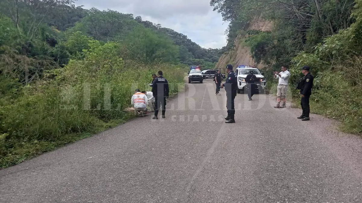 Feminicidio Chiapas